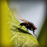 /album/jessecsimmons/photolia-a04-jpg/