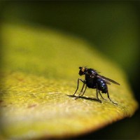 /album/jessecsimmons/photolia-a07-jpg/